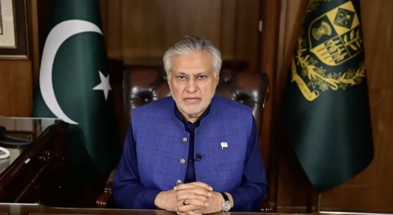 Mr. Ishaq Dar Message on Kashmir Exploitation Day